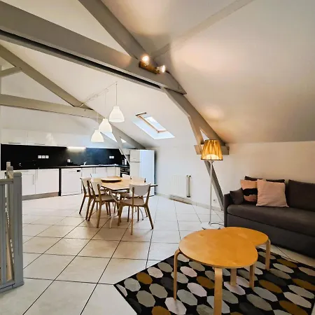 Daire Spacieux Loft Centre 3 Ch 6 Personnes Tours