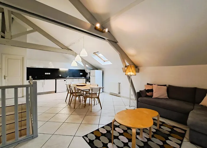 公寓 Spacieux Loft Centre 3 Ch 6 Personnes 图尔